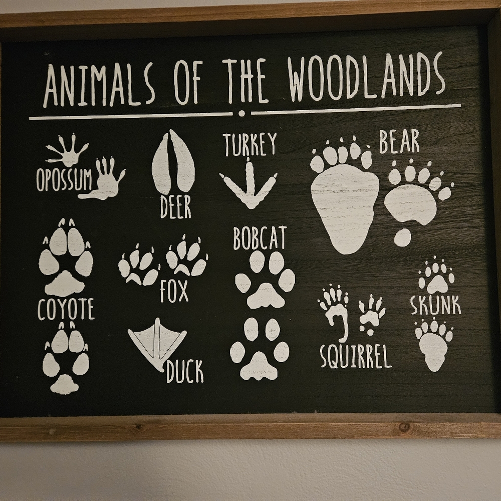 Animals of the Woodlands Wall Art